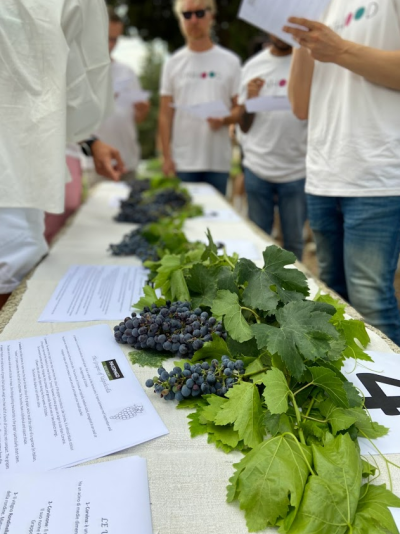 Vinhood Events