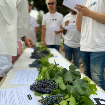 Vinhood Events