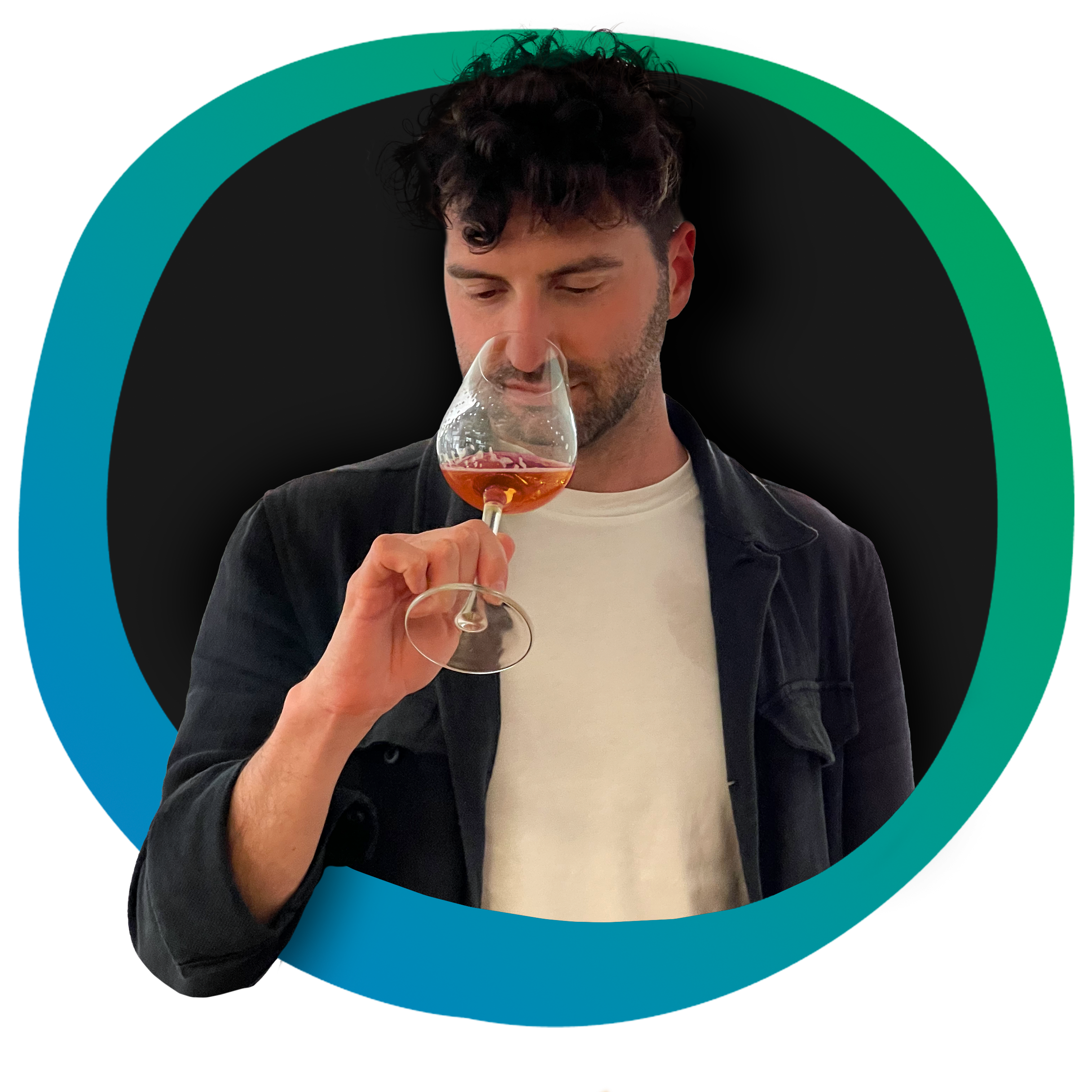 Daniele Sironi Vinhood